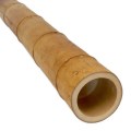 moso-bamboepaal-8-9-cm
