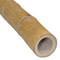 bamboepaal-guadua-7-9-cm88